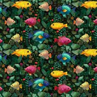 ttNATURE-CD4559 TROPICAL